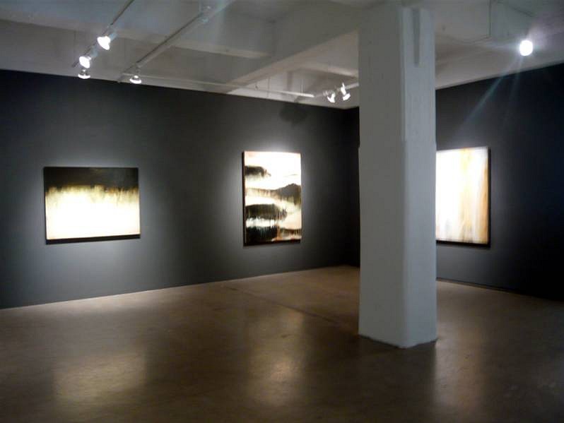 PRESS RELEASE: Shawn Dulaney, In the Drenched Earth, Sep 10 - Oct 10, 2009