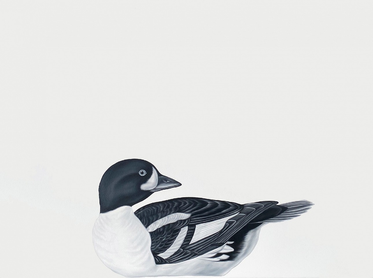 Shelley Reed
Barrow's Goldeneye (after Audubon), 2024
REE290
oil on paper, 22 x 30 inches
