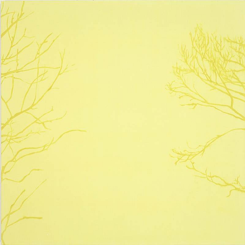 Isabel Bigelow
untitled (space between yellow trees), 2008
BIG961
oil on panel, 22 x 22 inches
