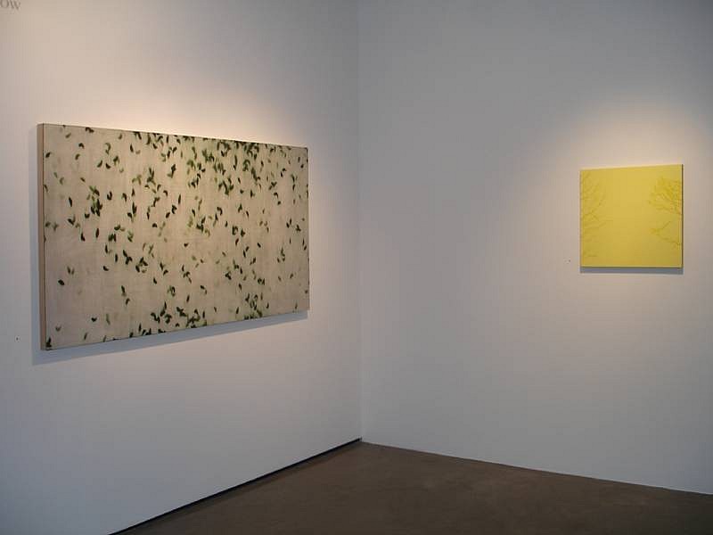 Isabel Bigelow
Installation, 2008
BIG972
oil on panel, BIG964 and BIG961