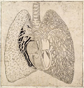 Work: System 2, 2009 mixed media on silk 55.5 x 53.5 inches BROD182