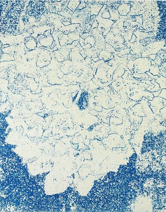 Eugene Brodsky
Hydrangea, 2011
BROD225
silkscreen ink on silk, 76 x 60 inches