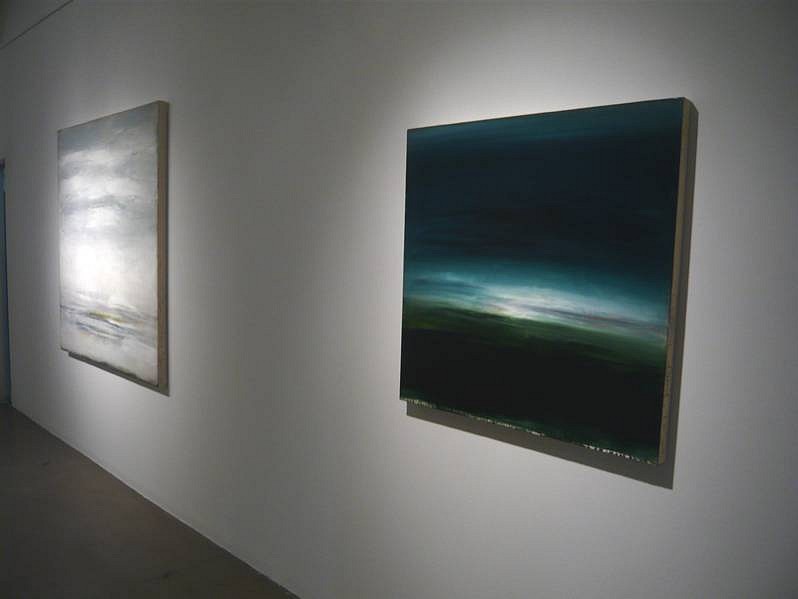 Shawn Dulaney
Installation, 2012
DULAN791