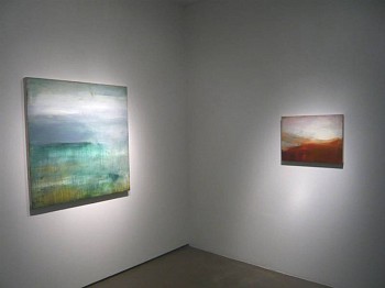 Work: Installation, 2012 DULAN787