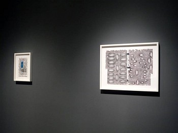 Work:&nbsp;Shadowland Exhibition, 2009 LEIB087