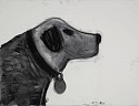 Kathryn Lynch, Profile of a Real Dog
2010, charcoal on paper