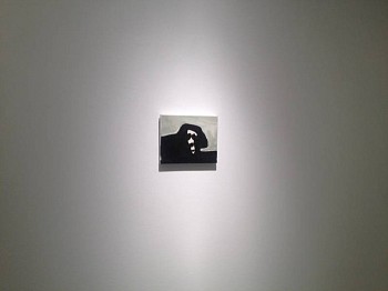 Work: Dogs Exhibition, 2012 lyn488