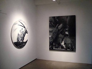 Work:&nbsp;Something is amiss amidst all this beauty and delight exhibition, 2010 REE095