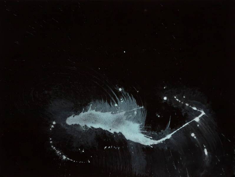 Katherine Ryan Roth
Agitated Algae #1, 2012
ROTH005
pigment and pencil on paper, 30 x 22 inches