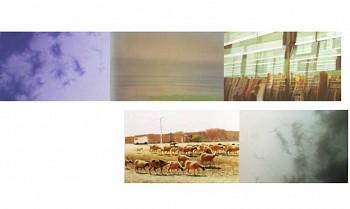 Robert Schmid -&nbsp;Julia Sets, 2005 acrylic on paper 33 x 48 inch paper / 
20 x 47.5 inch image SCHM133