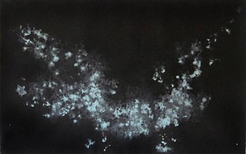 Katherine Ryan Roth -&nbsp;Bioluminescent Algae #1, 2012 pigment and pencil on paper 37 1/2 x 47 1/2 inches ROTH001
