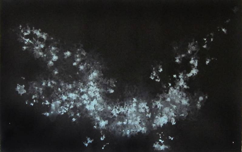 Katherine Ryan Roth
Bioluminescent Algae #1, 2012
ROTH001
pigment and pencil on paper, 37 1/2 x 47 1/2 inches
