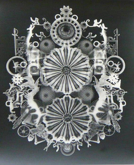 Wendy Small
untitled black viii, 2005-2007
SMA111
photogram, 20 x 16 inches