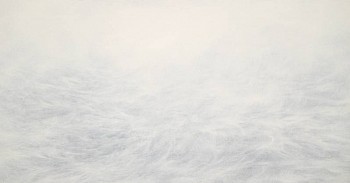 Work: White 1611, 2011 oil on panel 8 x 15 inches THIEL741