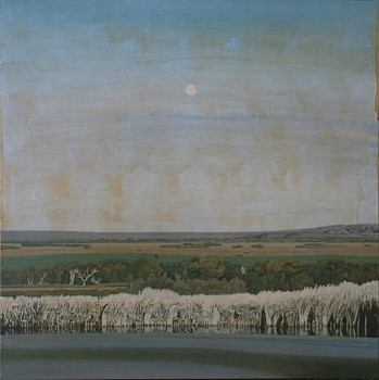 Work: Moon no. 5, 2012 36 x 36 inches wag276