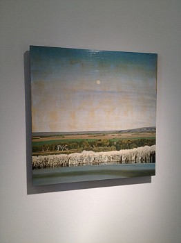 Work: New Paintings Exhibition, 2012 wag290