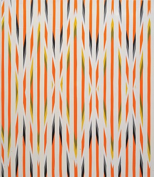 Andrew Zimmerman, Color Between The Lines&nbsp;