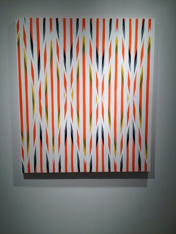 Andrew Zimmerman
Color Between the Lines Installation, 2012