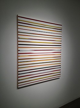 Work: Color Between the Lines Installation, 2012