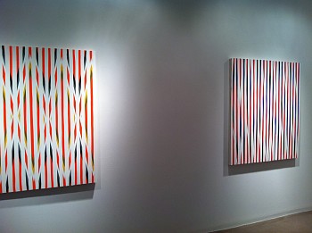 Work: Color Between The Lines Installation, 2013