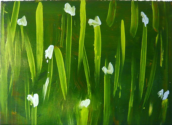 Kathryn Lynch (LA)
Wild Flowers 4, 2011
lyn409
oil on paper, 22 x 30 inches
