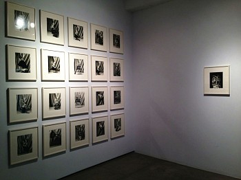 Work: Roz Leibowitz Doll Portraits Installation, 2014 LEIB131