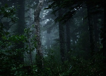 Jason Frank Rothenberg -&nbsp;Rishiri (Interior #1), Edition of 8, 2014 c-print 42 x 60 inches JFR005