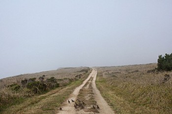 Jason Frank Rothenberg -&nbsp;Point Reyes, Edition of 8, 2014 c-print 40 x 60 inches JFR011
