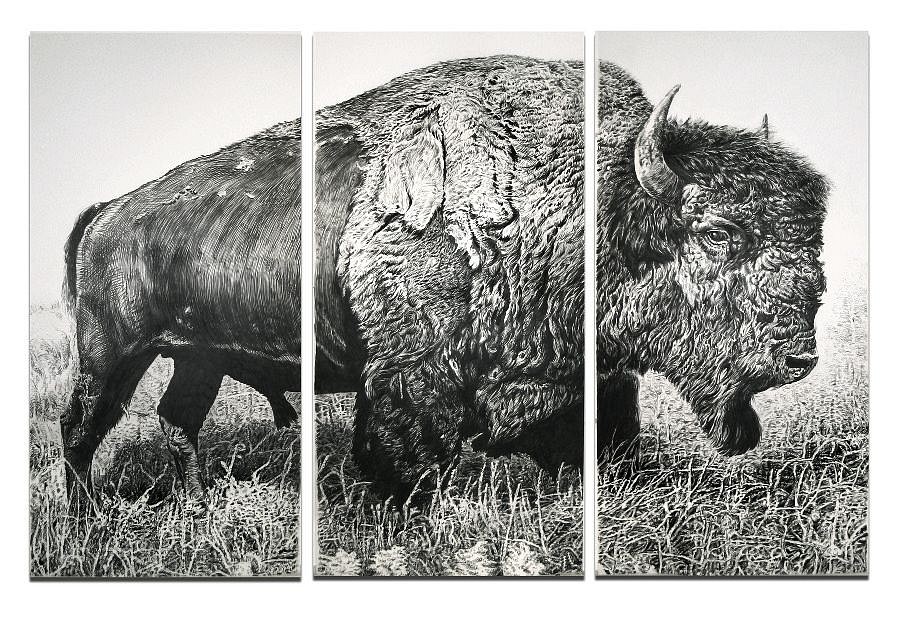 Rick Shaefer
American Bison, 2013
shaef023
charcoal on vellum, 96 x 148 inches/ triptych