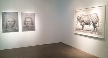 Work: Alison Van Pelt September Group Show, 2014 Pelt030