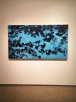 Work: Isabel Bigelow September Group Show, 2014 BIG1504