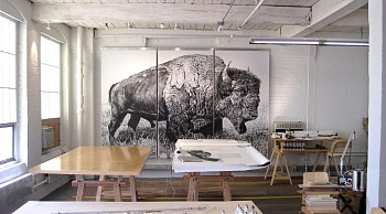 Rick Shaefer - American Bison, Studio View, 2013