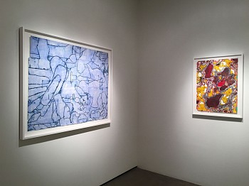 Work: Installation View, 2015 JOS231