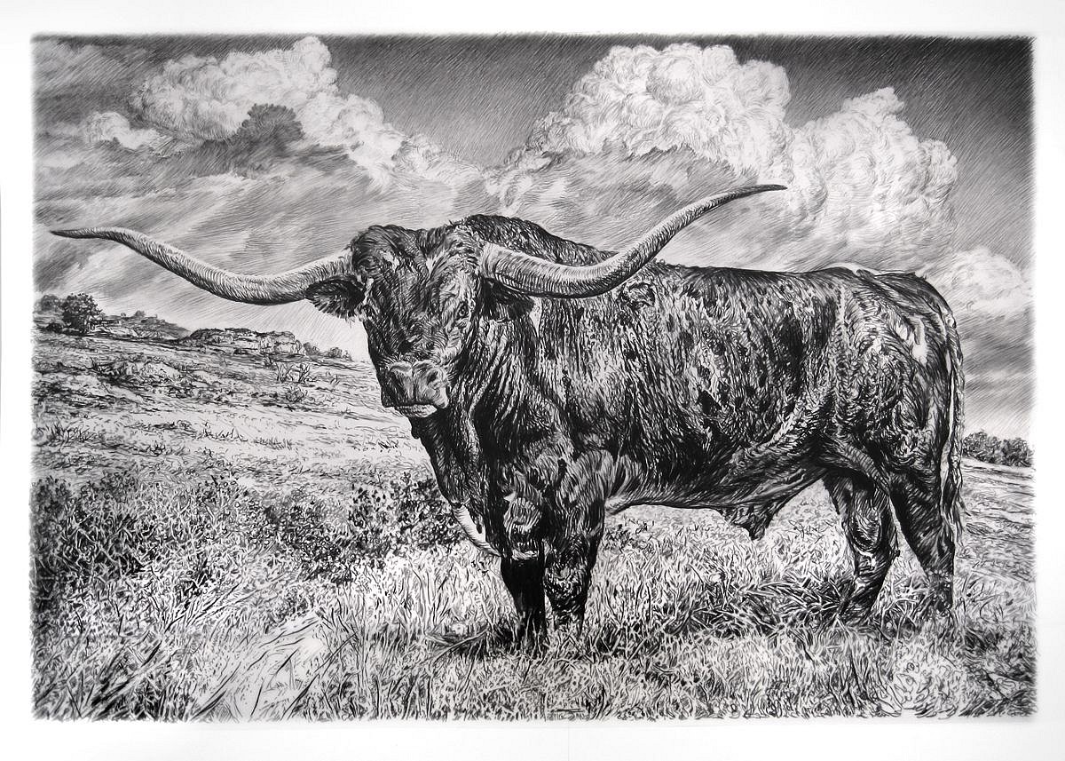 Rick Shaefer
Longhorn, 2015
shaef034
charcoal on vellum, 42 x 61 inch image / 48.5 x 68 inches frame Frame +$1000