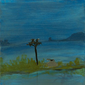 Work:&nbsp;Osprey Nest, 2015 oil on panel 8 x 8 inches lyn613