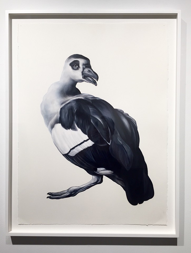 Shelley Reed (LA)
Glance (After Weenix), 2016
REE121
oil on paper, 30 x 22 1/2 inches
