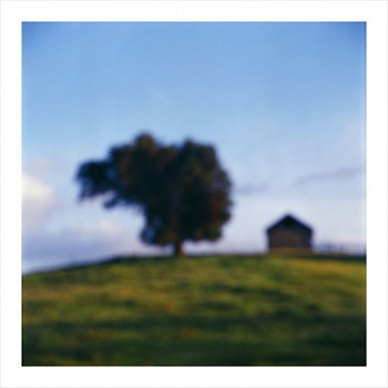 John Huggins (LA) -&nbsp;Tree and Barn, California, ed. of 23, 2014 pigment print 36 x 36 inch paper / 32 x 32 inch image, ed. of 23 | 53 x 53 inch paper, ed. of 7 HUGG382