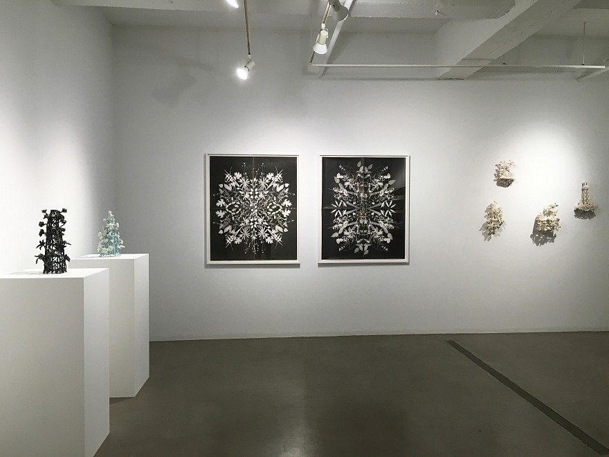 Susan Graham, Simone Shubuck, & Wendy Small: Bittersweet - Installation View