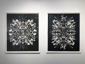 Susan Graham, Simone Shubuck, & Wendy Small: Bittersweet 