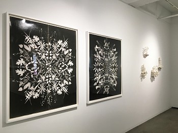 Susan Graham, Simone Shubuck, & Wendy Small: Bittersweet 