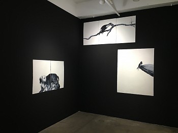 Shelley Reed, up close&nbsp;