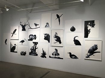 Shelley Reed, up close&nbsp;