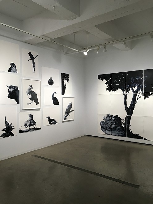 Shelley Reed, up close - Installation View