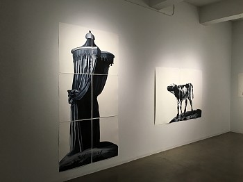 Shelley Reed, up close&nbsp;