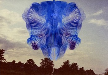 Randi Malkin Steinberger (LA) -&nbsp;Tree Line, ed. of 11, 2016 archival pigment print 24 x 34 inch image / 24.5 x 35 inches framed  Stein080