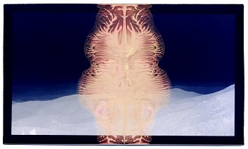 Randi Malkin Steinberger (LA) -&nbsp;Blue Range, ed. of 11, 2016 archival pigment print 24 x 40 inch image / 24.5 x 41.5 inches framed  Stein082