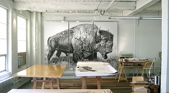 Rick Shaefer, Drawings&nbsp;