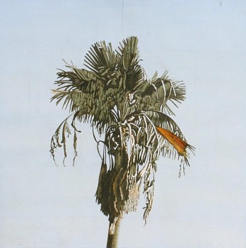 Clay Wagstaff (LA) -&nbsp;Palms no. 8, 2016 oil on paper 26 x 26 inches WAG343