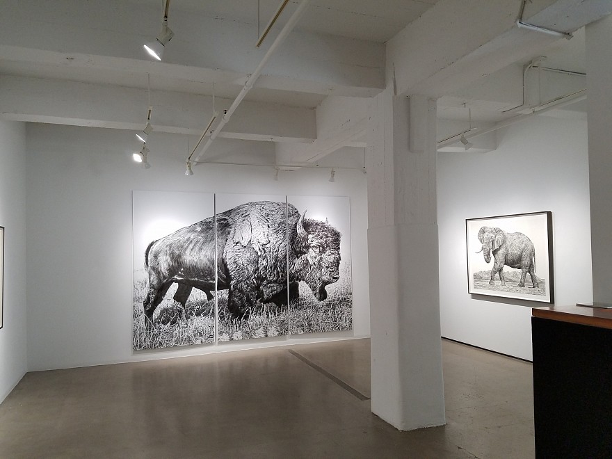 Rick Shaefer, Drawings - Installation View