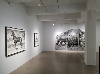 Rick Shaefer, Drawings&nbsp;